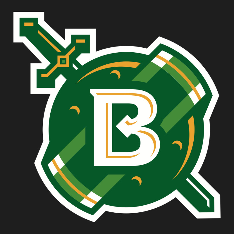 Belhaven University Heavyweight Hoodie by linhVisuals | Teevron