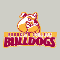 Brooklyn College Heavyweight Hoodie | Teevron