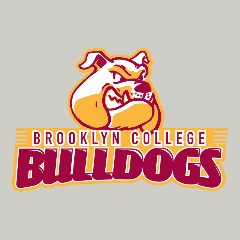 Brooklyn College Heavyweight Hoodie by linhVisuals | Teevron