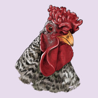 Dominique Rooster Head Premium Hoodie | Teevron