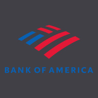 Bank Of America Heavyweight Hoodie | Teevron