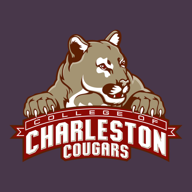 Charleston Cougars Heavyweight Hoodie by linhVisuals | Teevron