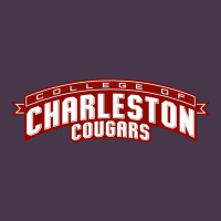 Charleston Cougars Heavyweight Hoodie | Teevron
