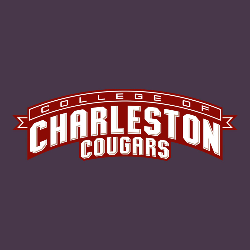 Charleston Cougars Heavyweight Hoodie by linhVisuals | Teevron