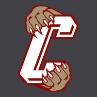 Charleston Cougars Heavyweight Hoodie | Teevron