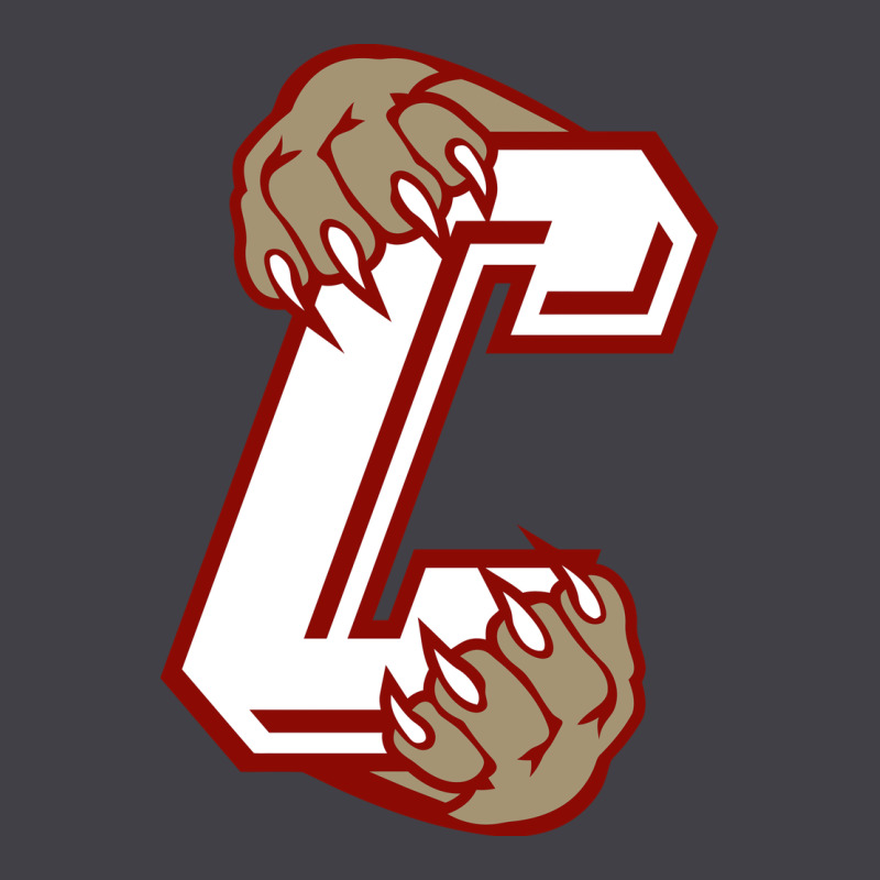 Charleston Cougars Heavyweight Hoodie by linhVisuals | Teevron