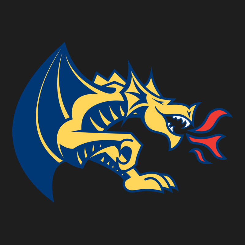 Drexel Dragons Heavyweight Hoodie by linhVisuals | Teevron