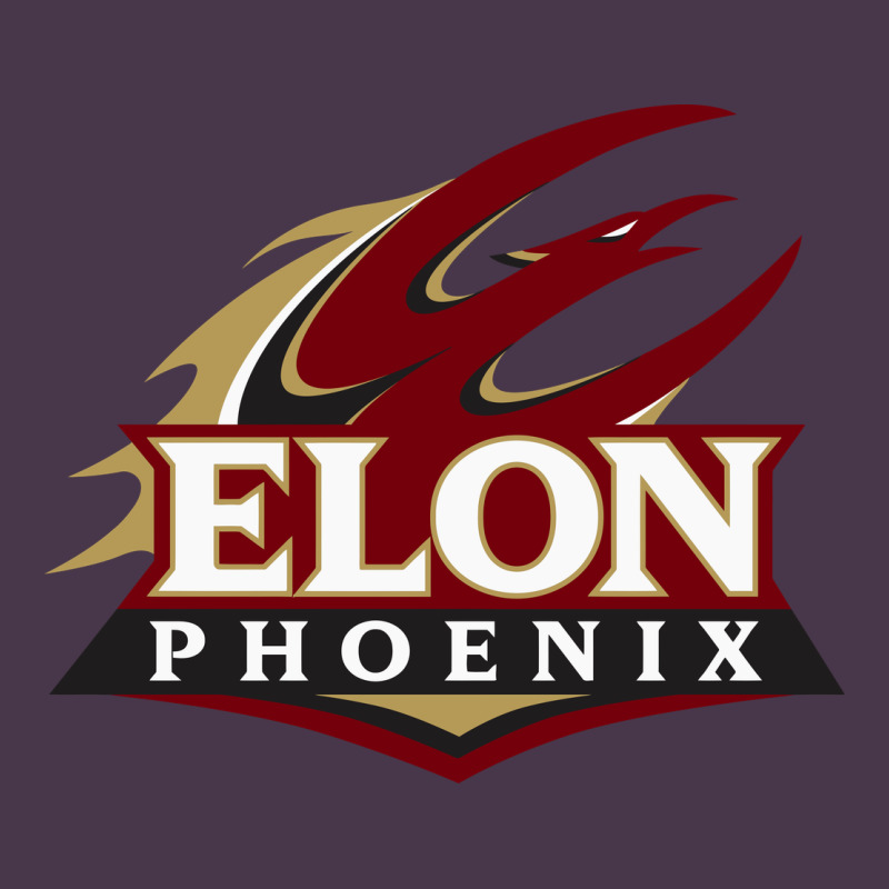 Elon Phoenix Heavyweight Hoodie by linhVisuals | Teevron