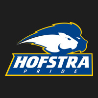 Hofstra Pride Heavyweight Hoodie | Teevron