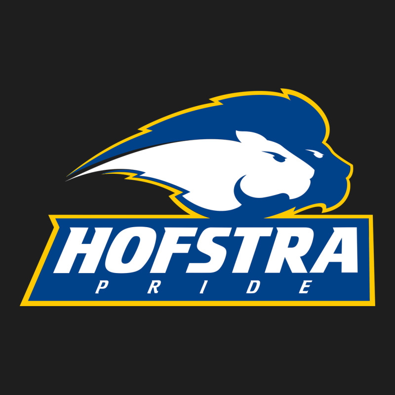 Hofstra Pride Heavyweight Hoodie by linhVisuals | Teevron