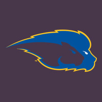 Hofstra Pride Heavyweight Hoodie | Teevron