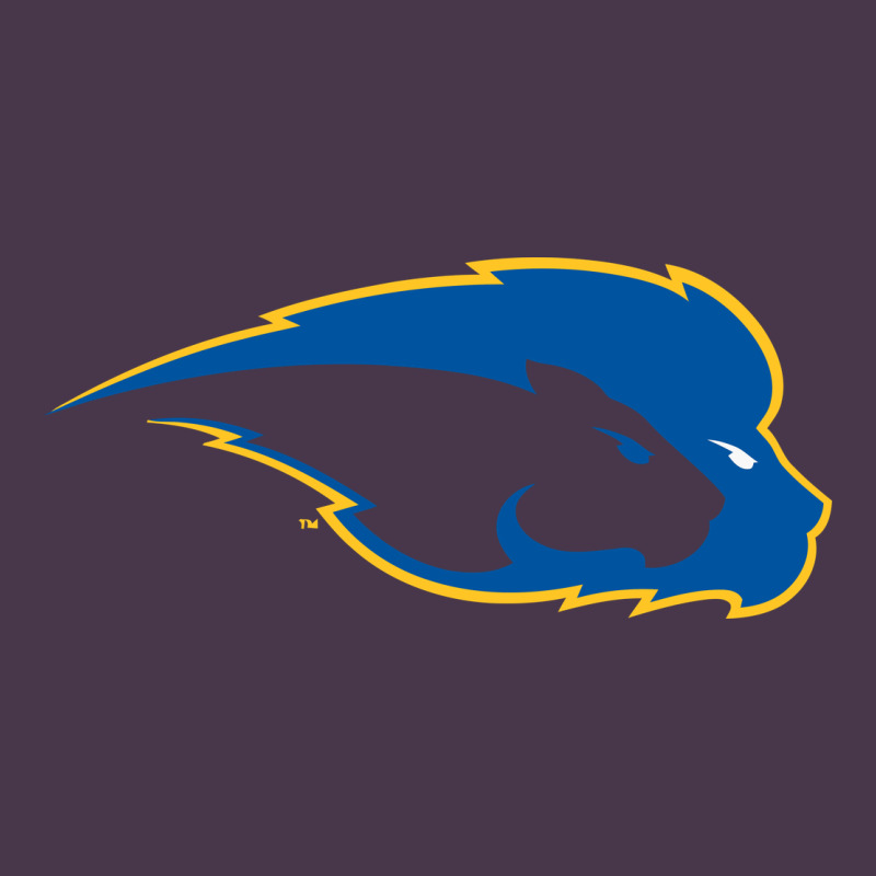 Hofstra Pride Heavyweight Hoodie by linhVisuals | Teevron