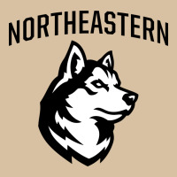Northeastern Huskies Heavyweight Hoodie | Teevron