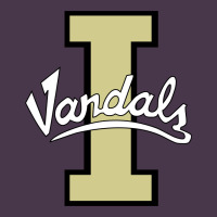 Idaho Vandals Football Team Heavyweight Hoodie | Teevron