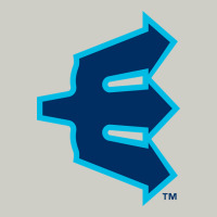 Everett Aquasox Heavyweight Hoodie | Teevron