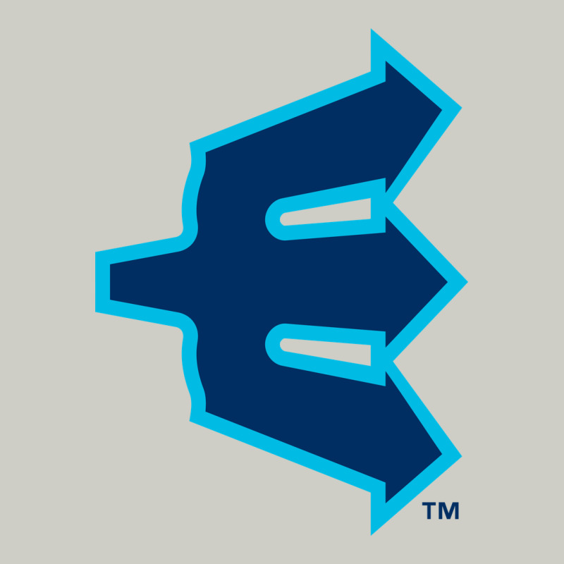 Everett Aquasox Heavyweight Hoodie by linhVisuals | Teevron
