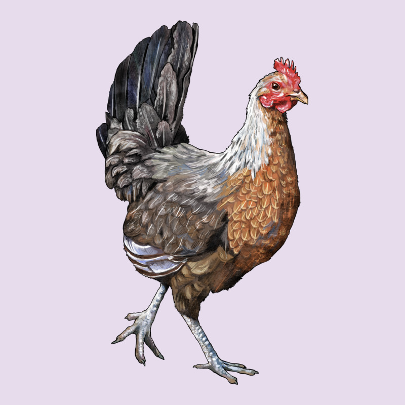 American Game Chicken Premium Hoodie by LillyAllenDesigns | Teevron