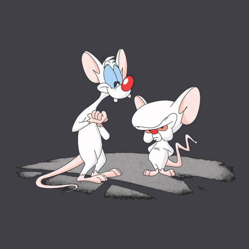 Newanimaniacs Pinky And The Brain Heavyweight Hoodie by linhVisuals | Teevron