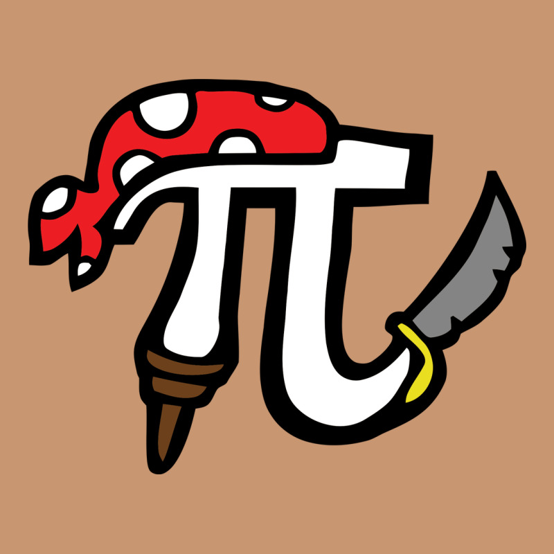 Pi Pirate Heavyweight Hoodie by linhVisuals | Teevron