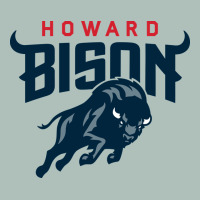 Howard Bison Heavyweight Hoodie | Teevron