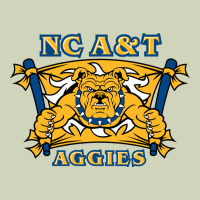 North Carolina A&t Aggies Heavyweight Hoodie | Teevron