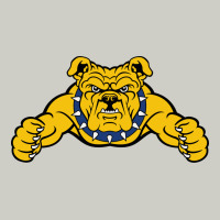 North Carolina A&t Aggies Heavyweight Hoodie | Teevron