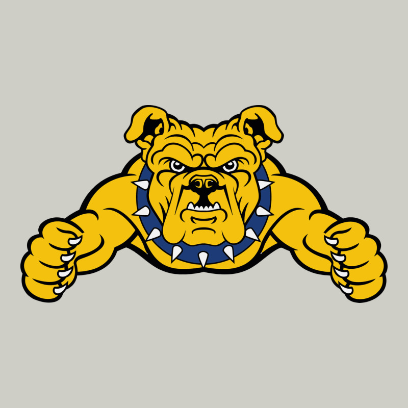North Carolina A&t Aggies Heavyweight Hoodie by linhVisuals | Teevron
