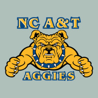 North Carolina A&t Aggies Heavyweight Hoodie | Teevron