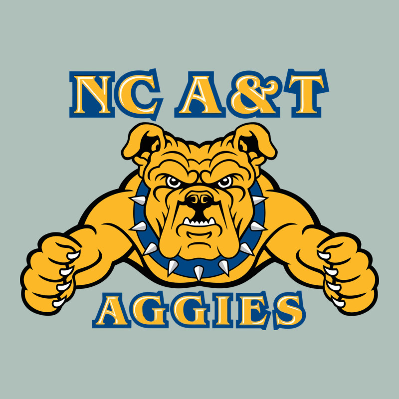 North Carolina A&t Aggies Heavyweight Hoodie by linhVisuals | Teevron