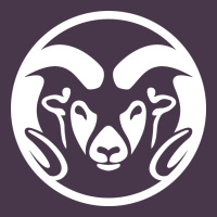 Colorado State Rams Heavyweight Hoodie | Teevron