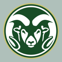 Colorado State Rams Heavyweight Hoodie | Teevron