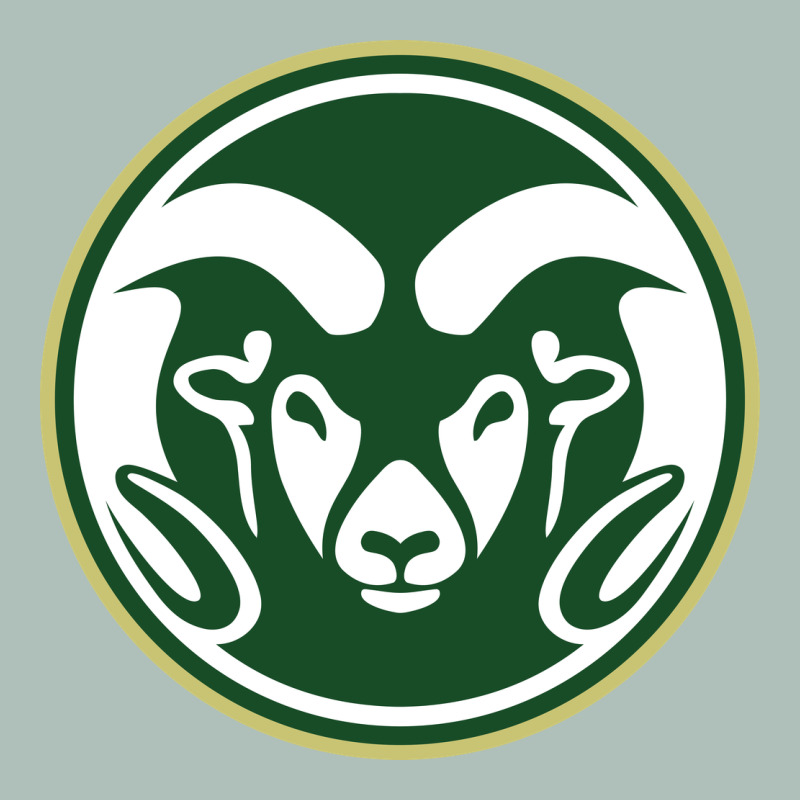 Colorado State Rams Heavyweight Hoodie by linhVisuals | Teevron