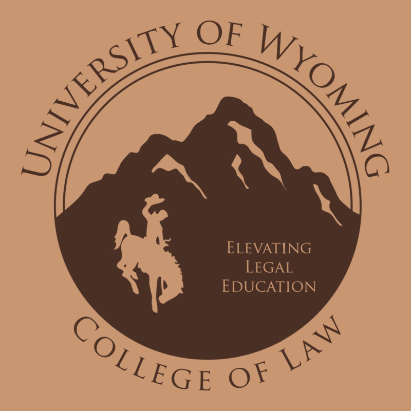 University Of Wyoming Cowboys Heavyweight Hoodie by linhVisuals | Teevron