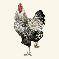 Wyandotte Rooster Premium Hoodie | Teevron