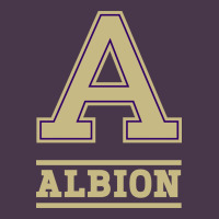 Albion College Athleticpurple Heavyweight Hoodie | Teevron