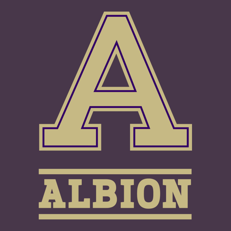 Albion College Athleticpurple Heavyweight Hoodie by linhVisuals | Teevron
