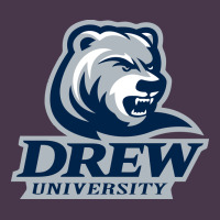 Drew University Vectorized Heavyweight Hoodie | Teevron