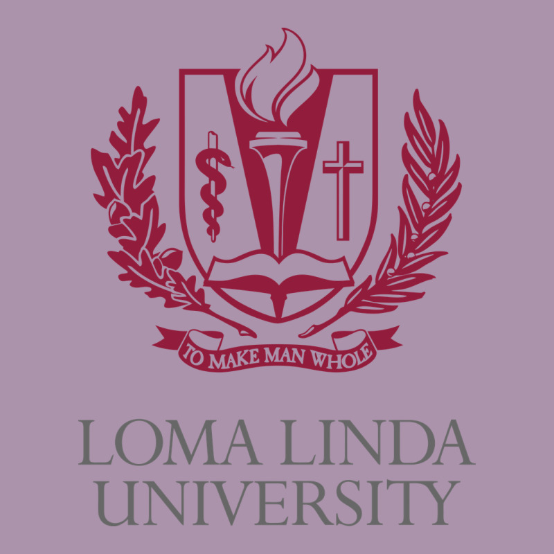 Education Of Loma Linda Heavyweight Hoodie by linhVisuals | Teevron