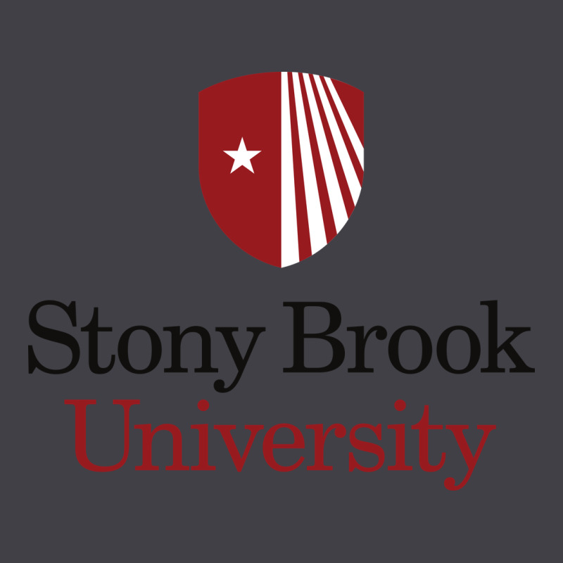 Stony Brook University Heavyweight Hoodie by linhVisuals | Teevron