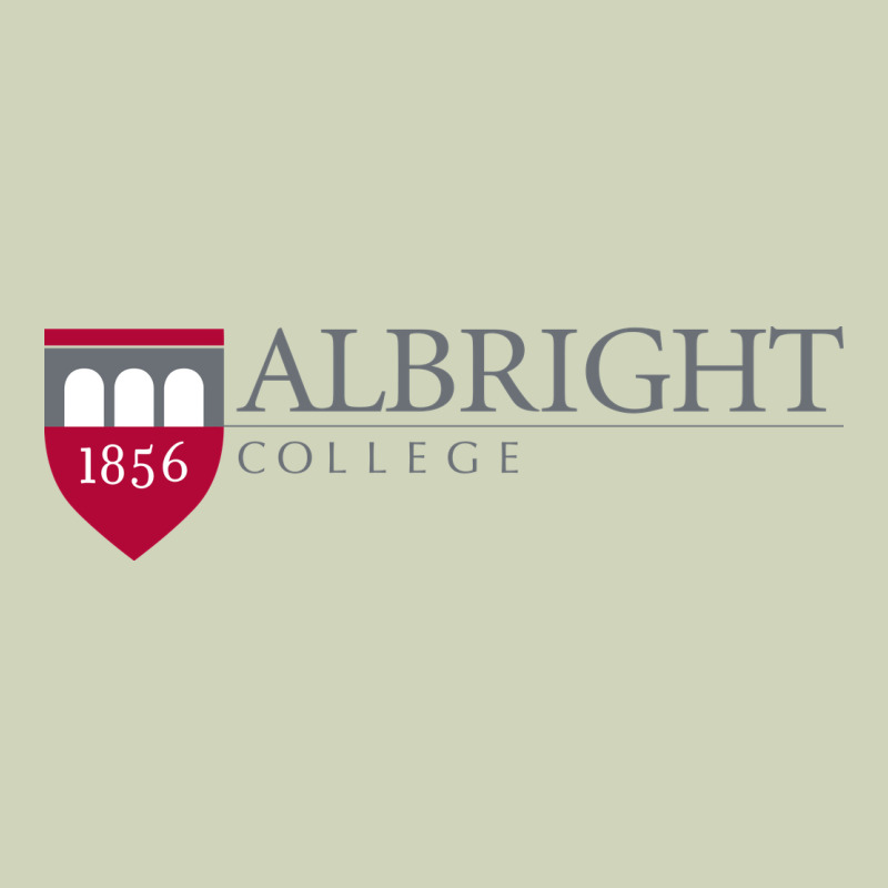 Albright College Vectorized Heavyweight Hoodie by linhVisuals | Teevron