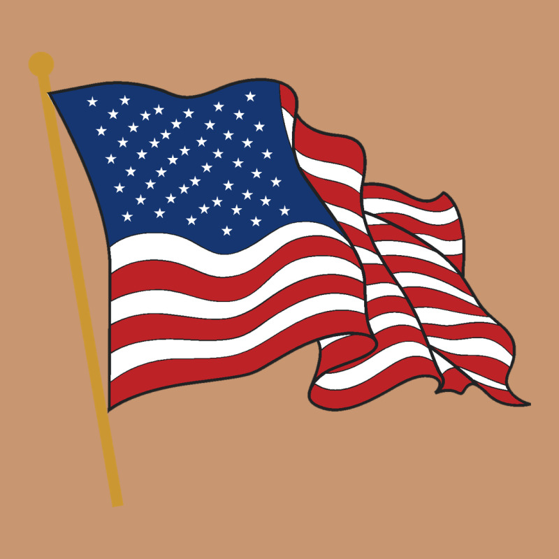 American Flag Heavyweight Hoodie by linhVisuals | Teevron