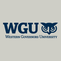 W Governors, Education, Wgu Heavyweight Hoodie | Teevron