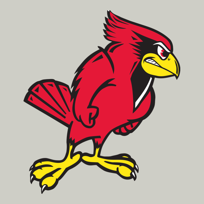 Illinois State Redbirds Heavyweight Hoodie by linhVisuals | Teevron