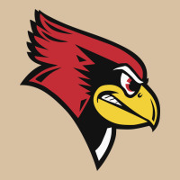Illinois State Redbirds Heavyweight Hoodie | Teevron