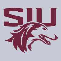 Southern Illinois Salukis Heavyweight Hoodie | Teevron