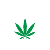 tegridy farms | Teevron
