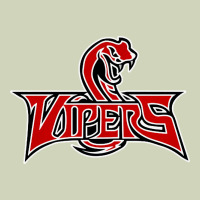 Vipers Sports Heavyweight Hoodie | Teevron