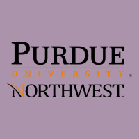 Purdue University Northwest Heavyweight Hoodie | Teevron