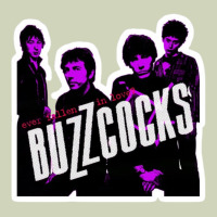Buzzcocks Ever Fallen In Love With Someone You Shouldn't've Heavyweight Hoodie | Teevron