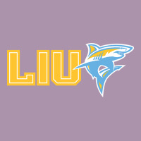 Long Island University Sharks Heavyweight Hoodie | Teevron